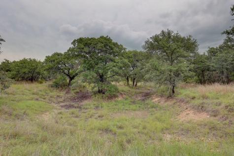 8177 Wendel Road Harper TX 78631