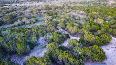 22874 Ranch Road 385 Harper TX 78631