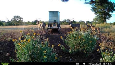 647 Funf Kinder Road Fredericksburg TX 78624