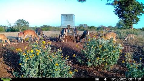 647 Funf Kinder Road Fredericksburg TX 78624