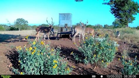647 Funf Kinder Road Fredericksburg TX 78624