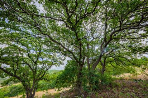 101 Crestline Drive Kerrville TX 78028