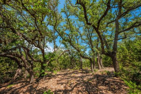 123 Northridge Drive Mountain Home TX 78058