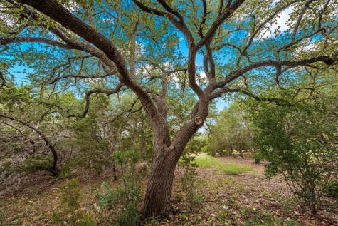 123 Northridge Drive Mountain Home TX 78058