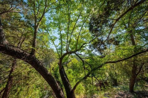 2000 Calcote Road Kerrville TX 78028