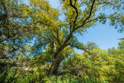 2000 Calcote Road Kerrville TX 78028