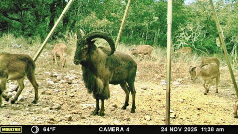 475 River Bend Road Hunt TX 78024