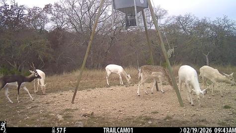 475 River Bend Road Hunt TX 78024