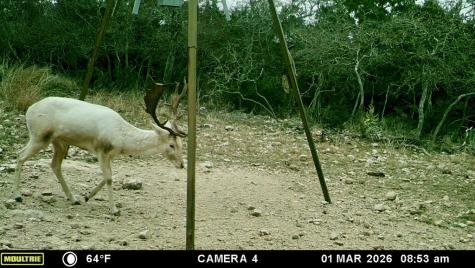 475 River Bend Road Hunt TX 78024