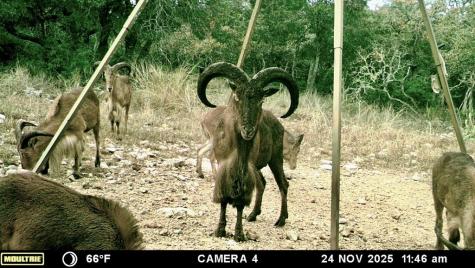 475 River Bend Road Hunt TX 78024