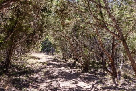 113 Spring Branch Drive Kerrville TX 78028
