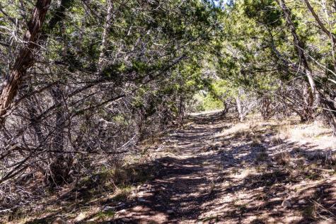 113 Spring Branch Drive Kerrville TX 78028