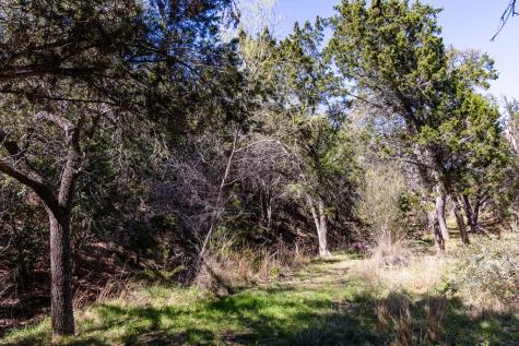 113 Spring Branch Drive Kerrville TX 78028