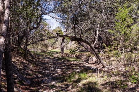 113 Spring Branch Drive Kerrville TX 78028