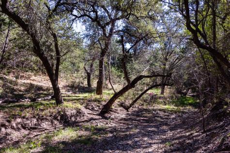 113 Spring Branch Drive Kerrville TX 78028