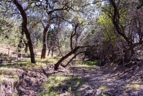 113 Spring Branch Drive Kerrville TX 78028