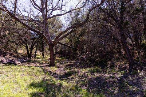 113 Spring Branch Drive Kerrville TX 78028