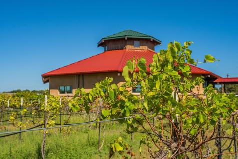 10207 Highway 290 Fredericksburg TX 78624