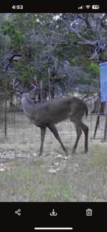 180 Bee Hive Road SW Hunt TX 78024