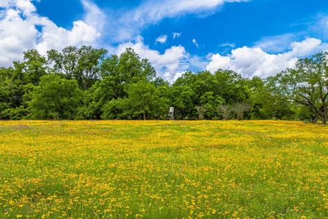 1589, 95 Fm 1340 Hunt TX 78024