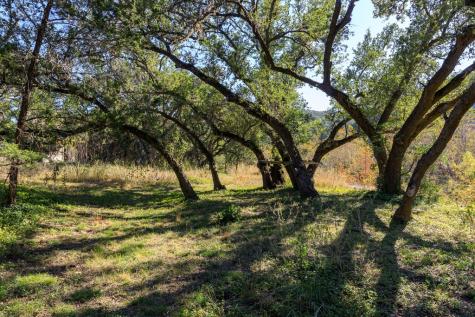 2269 Old Rocksprings Road Leakey TX 78873
