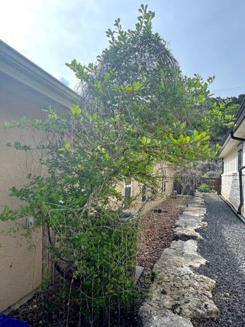 1116 Norfolk Lane Kerrville TX 78028