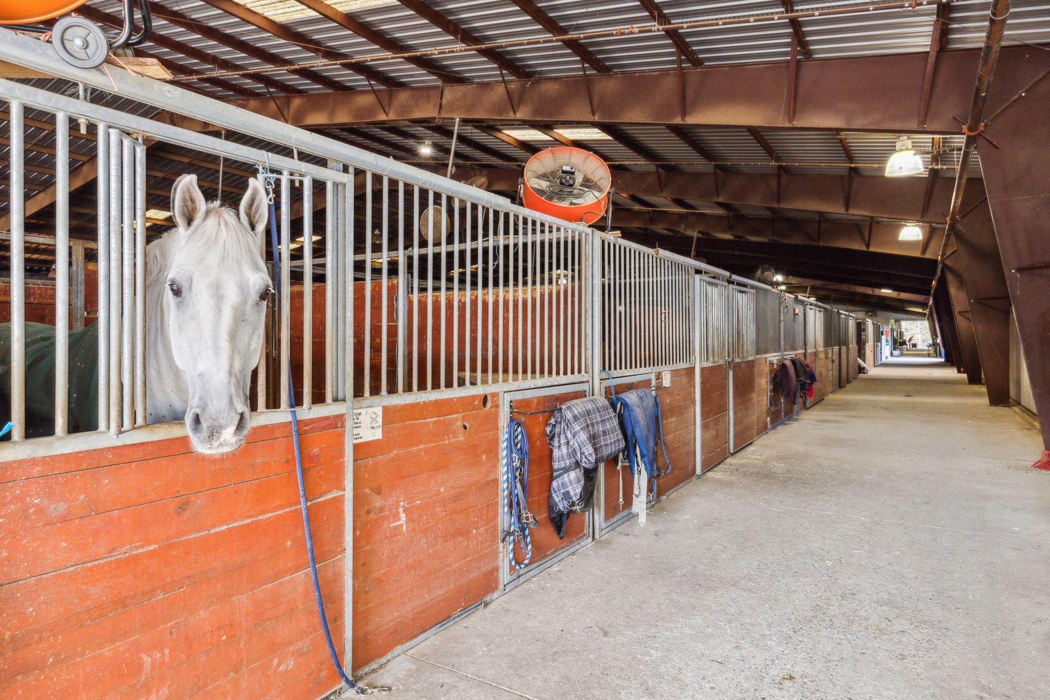 8787 Park Lane Dallas TX 75231