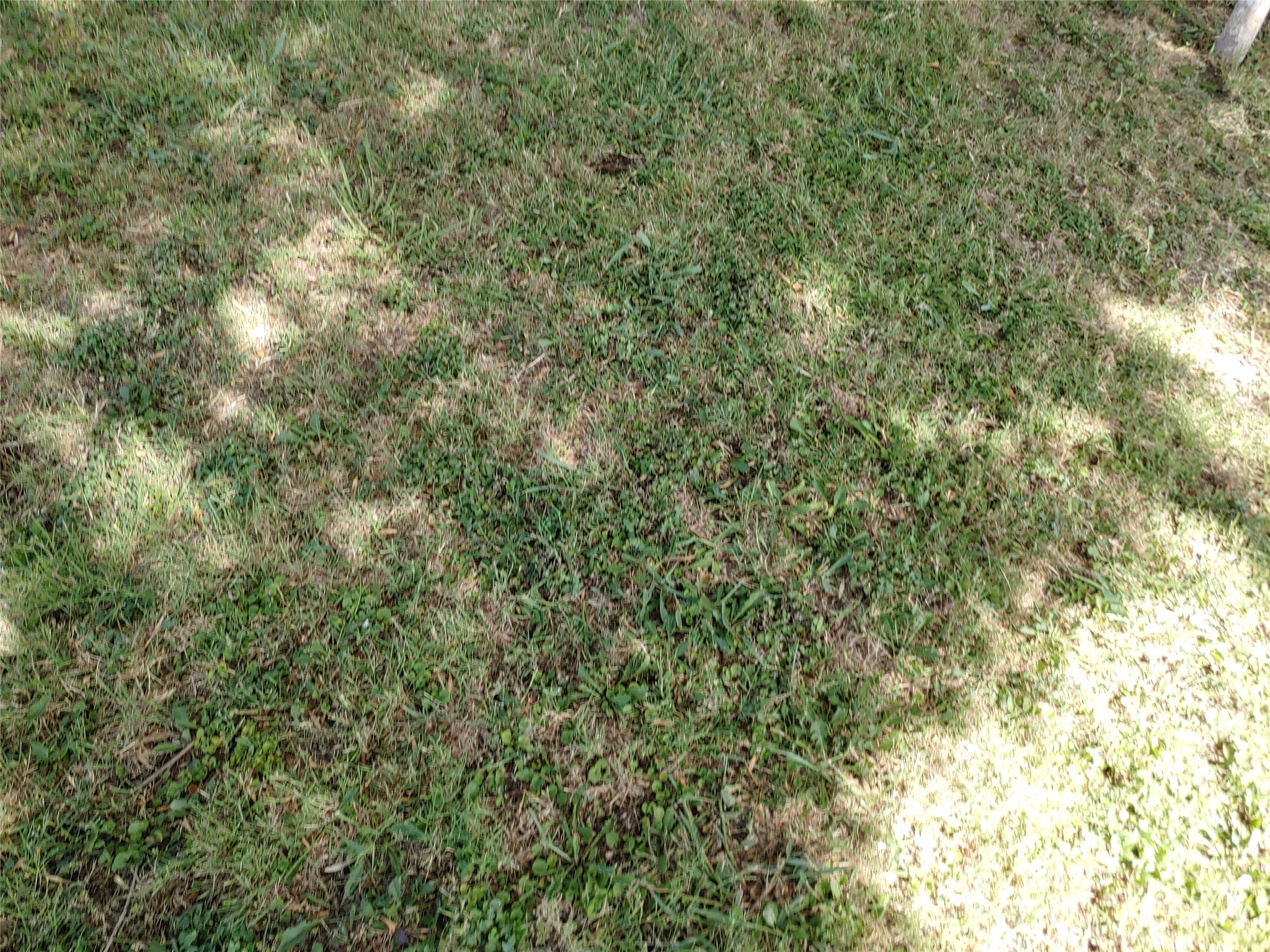 2719 Meyersville Dallas TX 75212