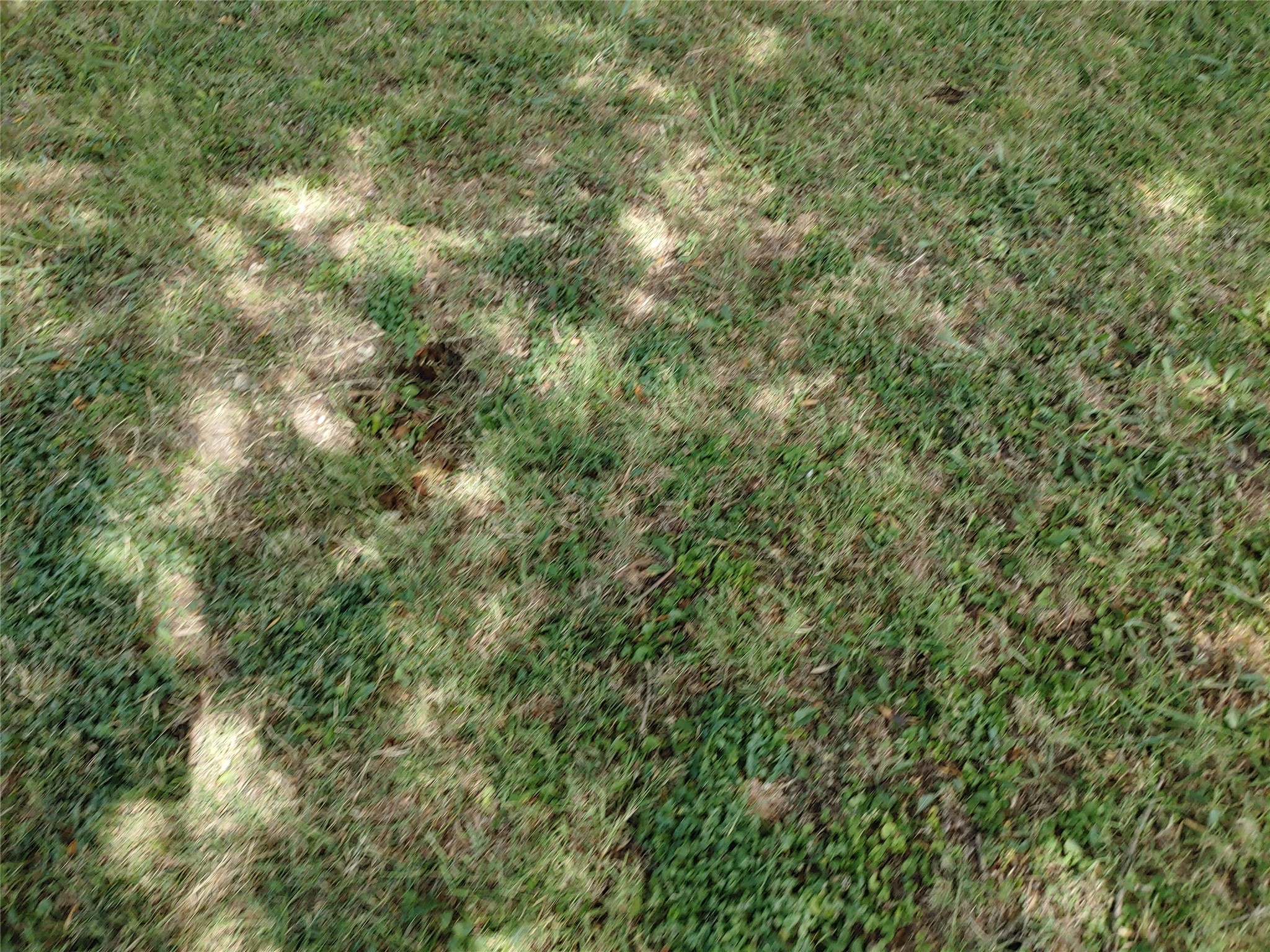 2729 Meyersville Dallas TX 75212