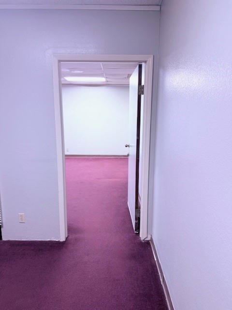 350 Oaks Trail Garland TX 75043
