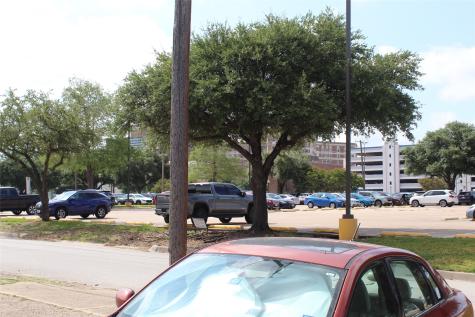 427 S Summit Avenue Fort Worth TX 76104