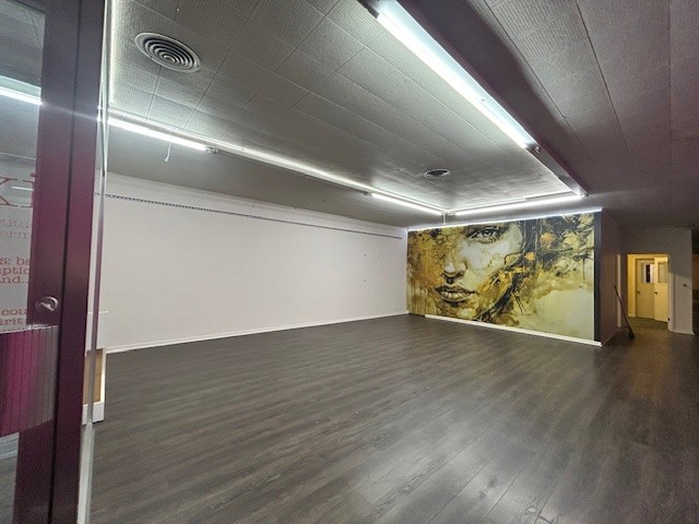 114 W Woodard Denison TX 75021