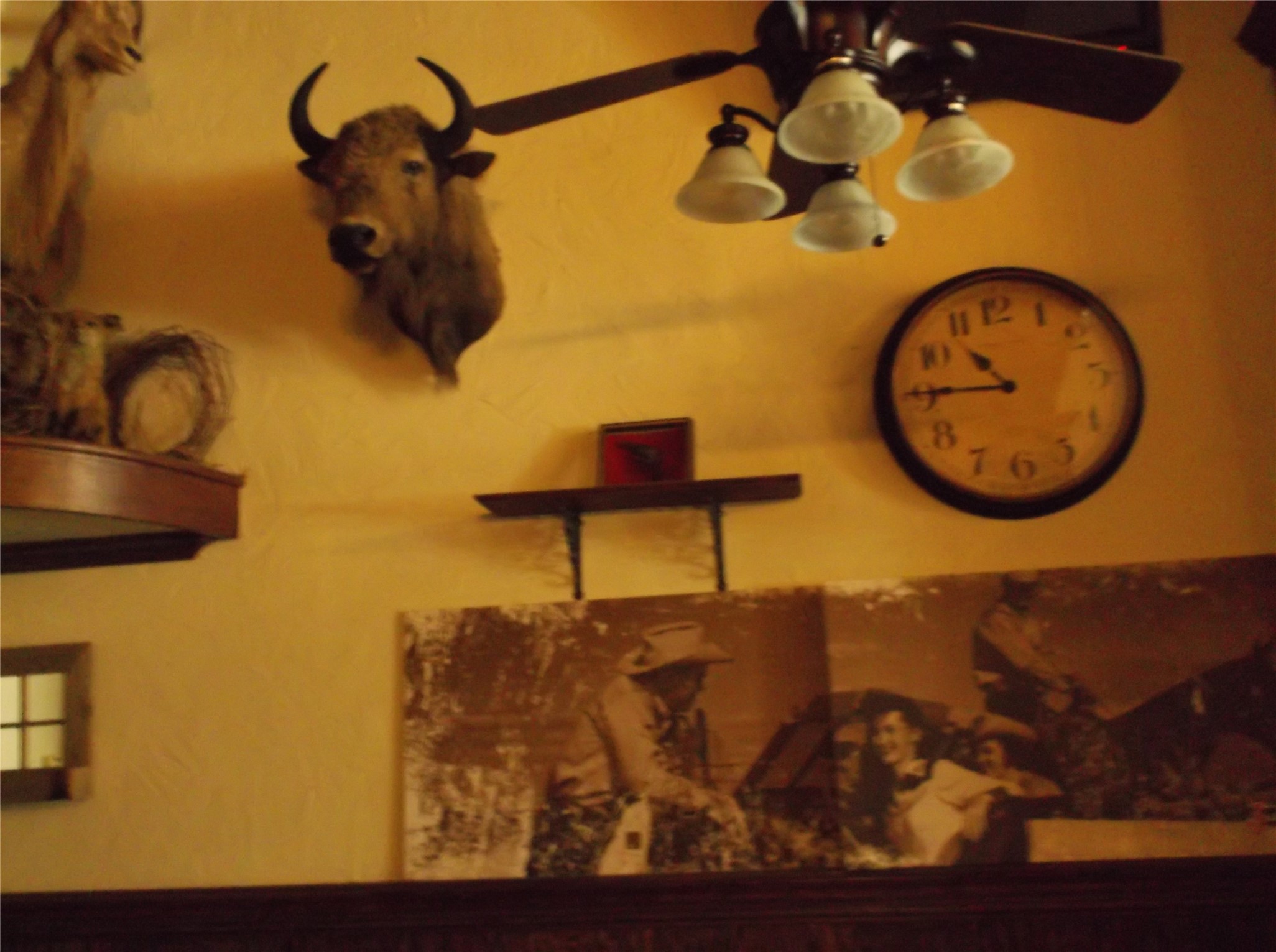 204 Clay Street Nocona TX 76255