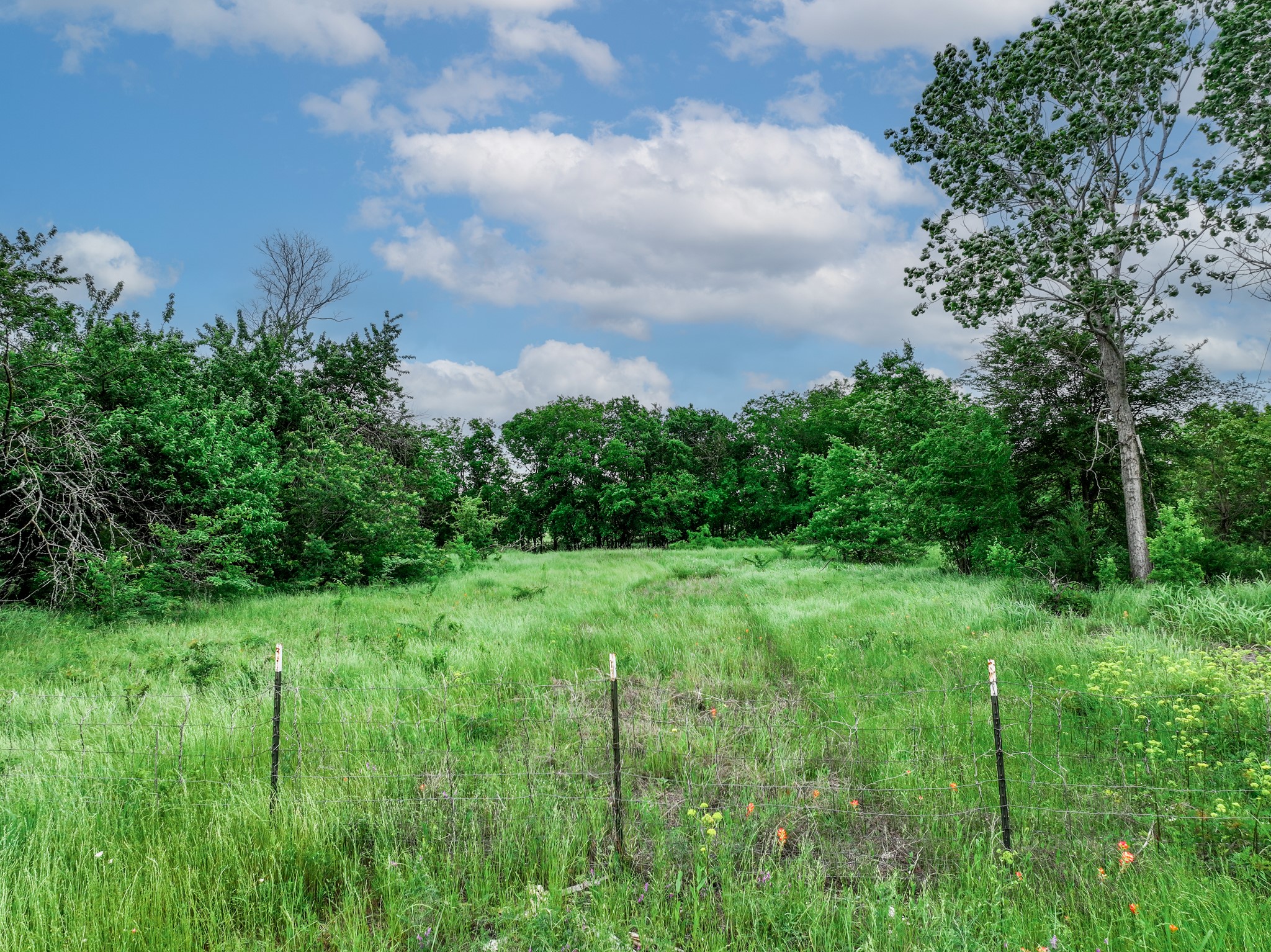 3206 E Quinlan Parkway Quinlan TX 75474