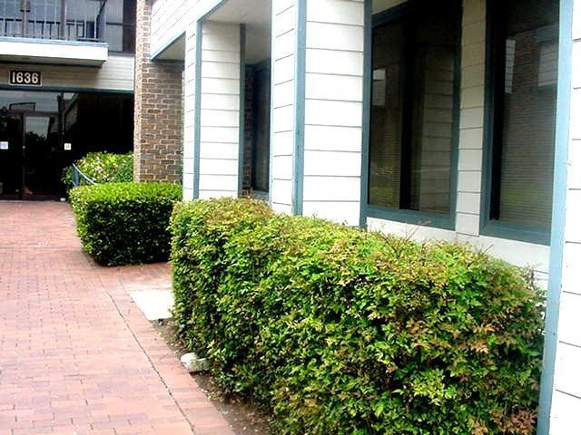 1638 W Irving Boulevard Irving TX 75061