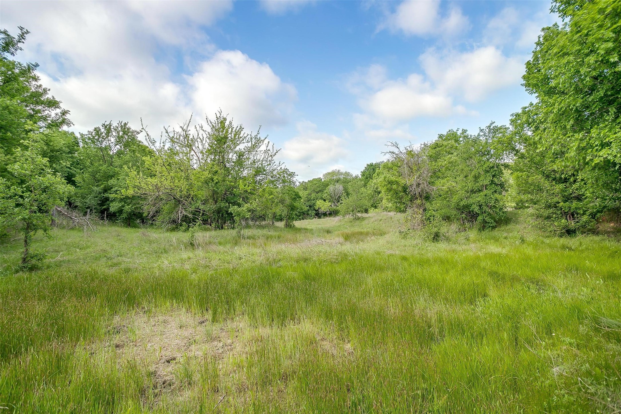 Tbd Tx-174 Blum TX 76627