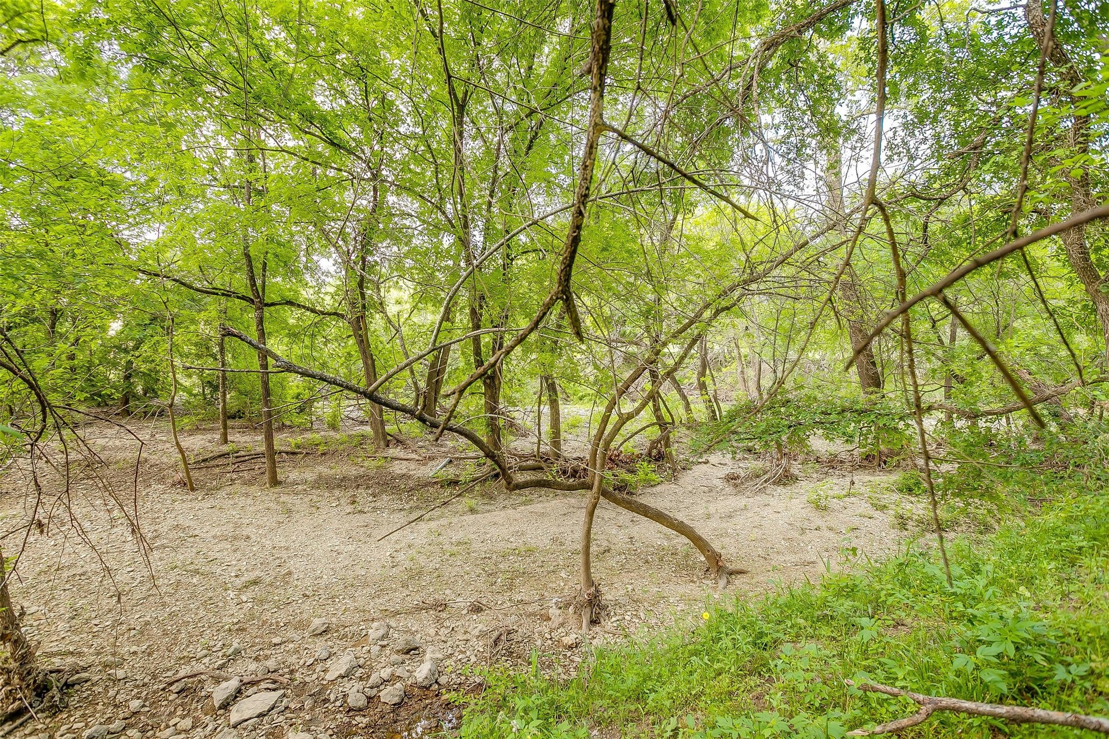 Tbd Tx-174 Blum TX 76627