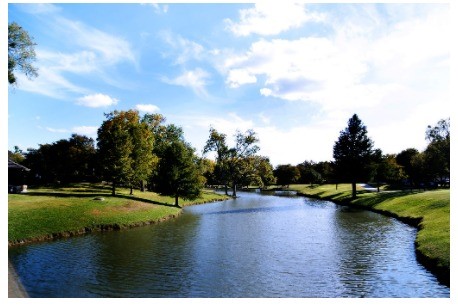 208 S Cottonwood Drive Richardson TX 75080