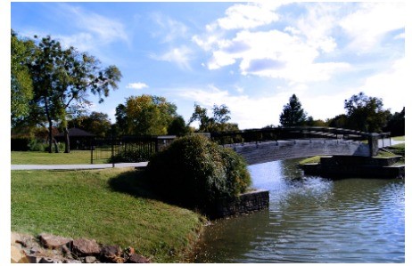 208 S Cottonwood Drive Richardson TX 75080