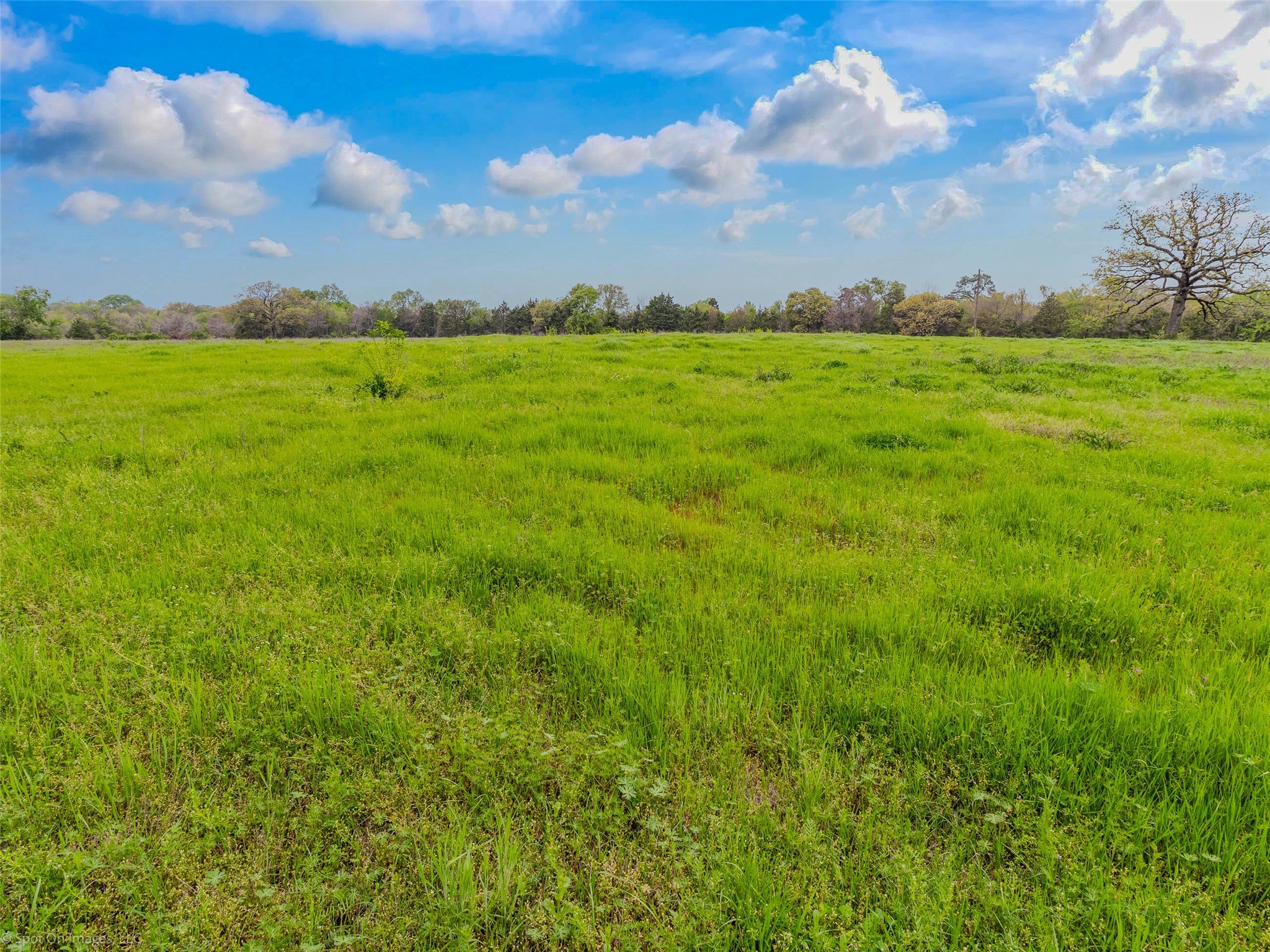 000 Eason Street Terrell TX 75160