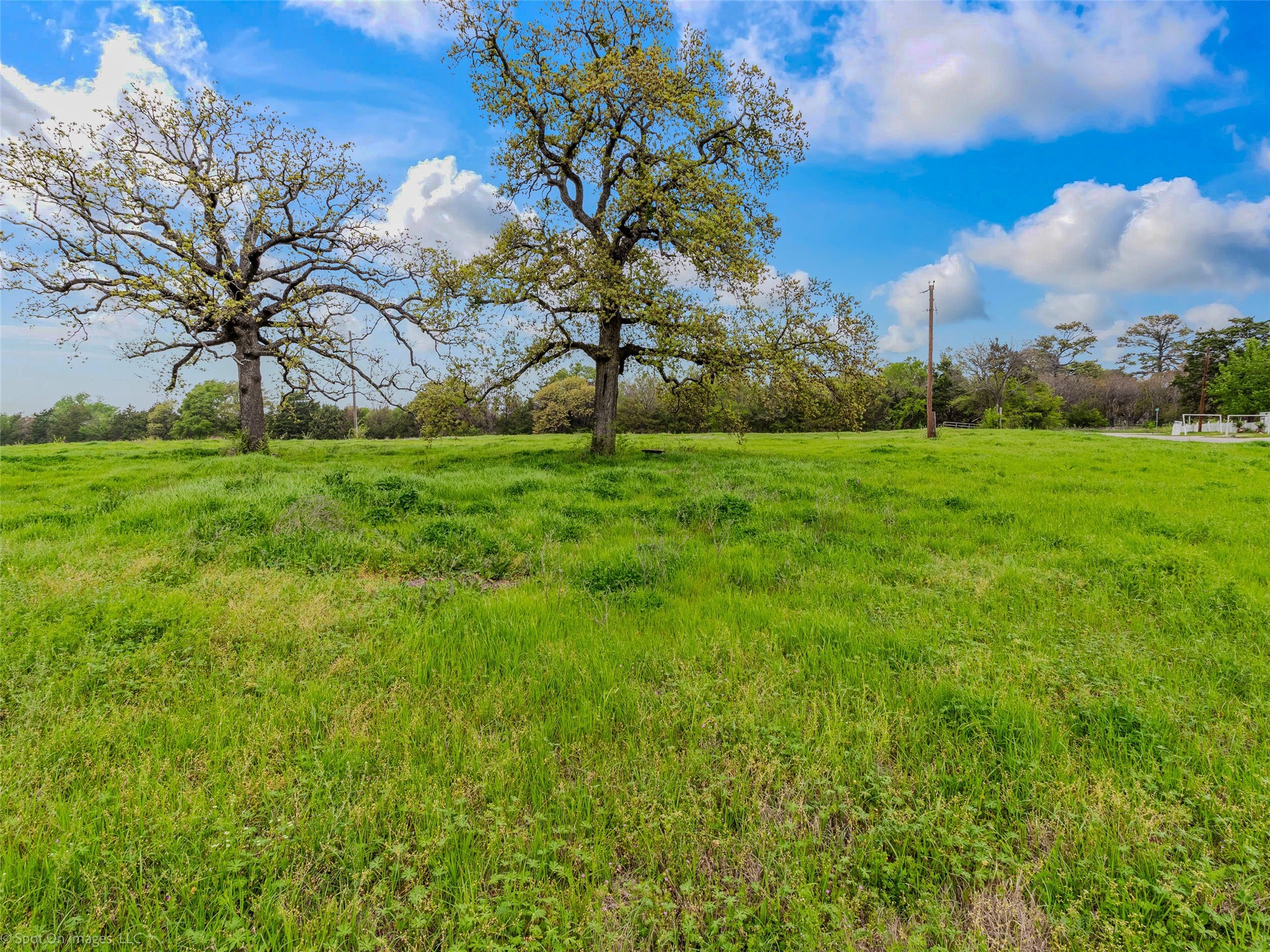 000 Eason Street Terrell TX 75160