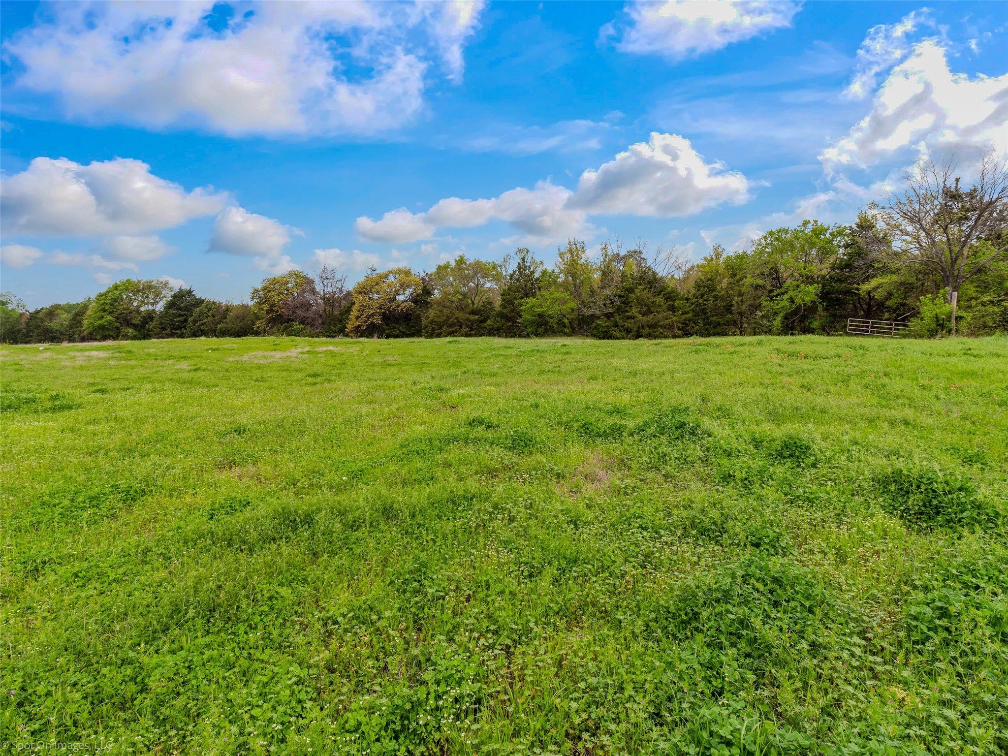 000 Eason Street Terrell TX 75160