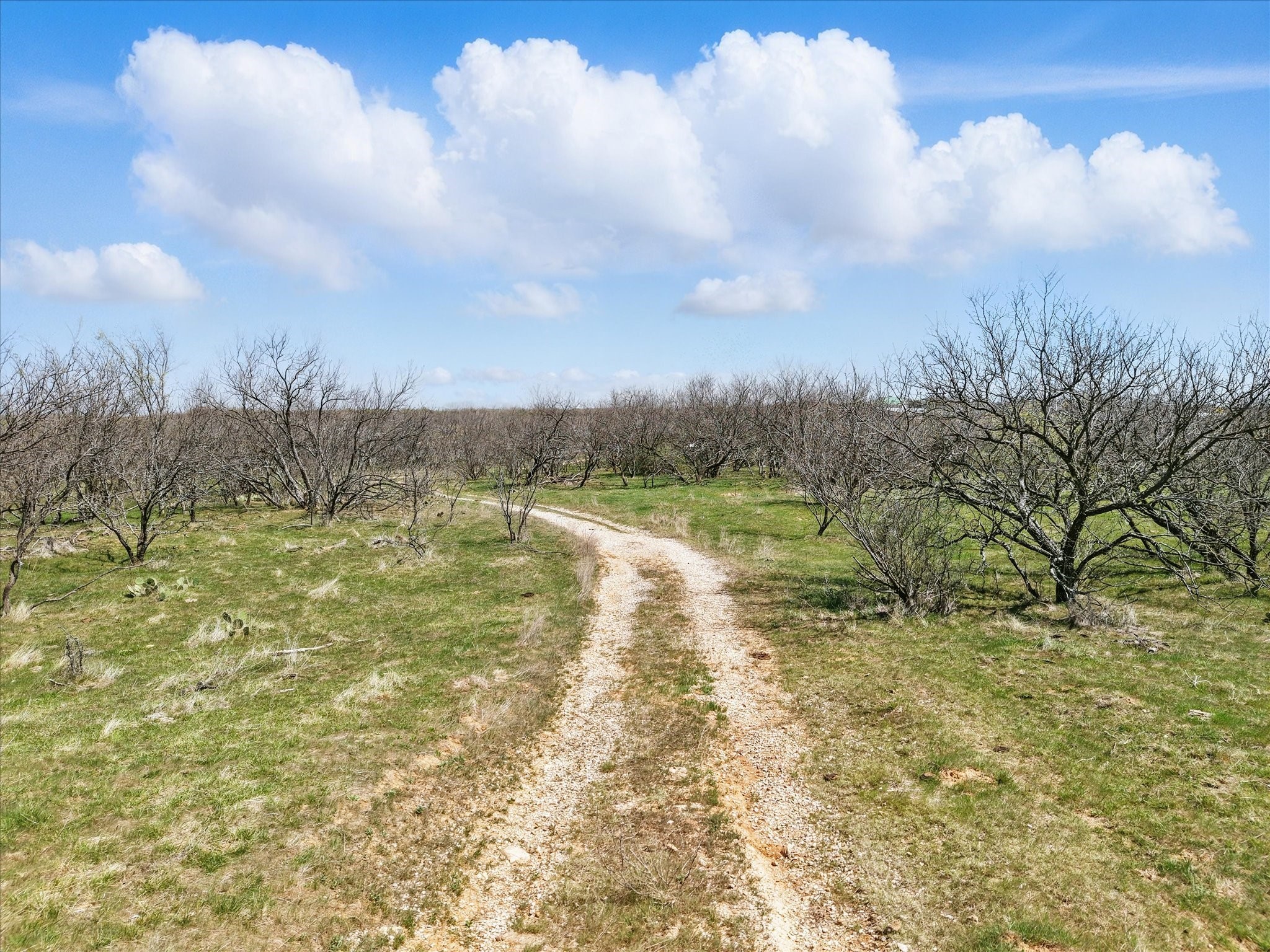 000 N Main Street Jacksboro TX 76458