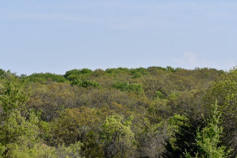 Tbd Fm 51 Decatur TX 76234