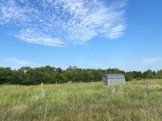 434 County Road 4445 Trenton TX 75490