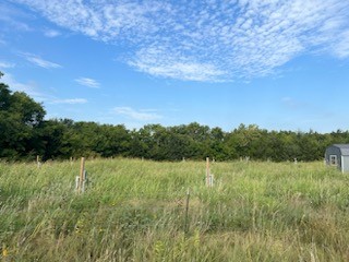 434 County Road 4445 Trenton TX 75490