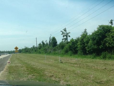 1201 Highway 146 Bypass Liberty TX 77575