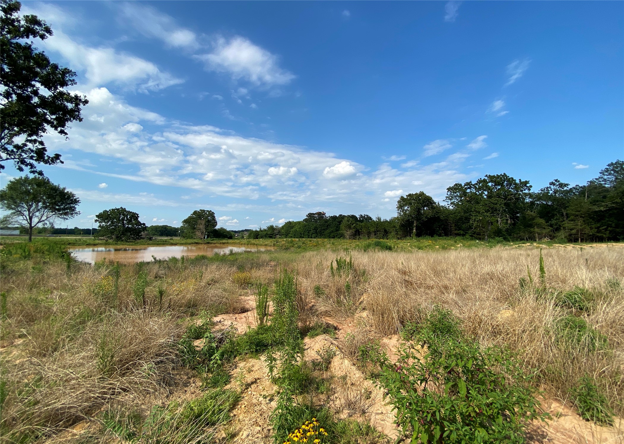 000 Ih 30 W Sulphur Springs TX 75482