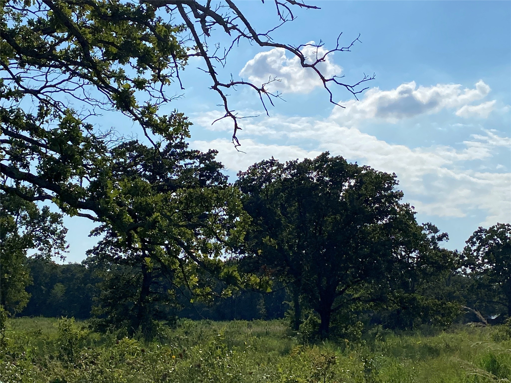 000 Ih 30 W Sulphur Springs TX 75482