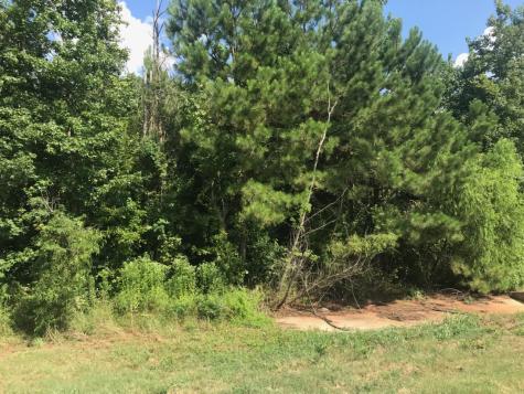 Tbd S Highway 59 Highway Linden TX 75563